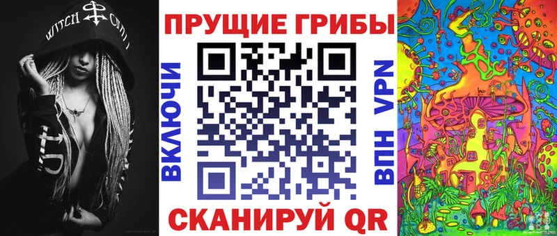где купить наркоту  блэк спрут зеркало  Псилоцибиновые грибы Cubensis  Агидель 